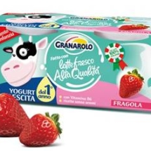 YOGURT BABY FOOD